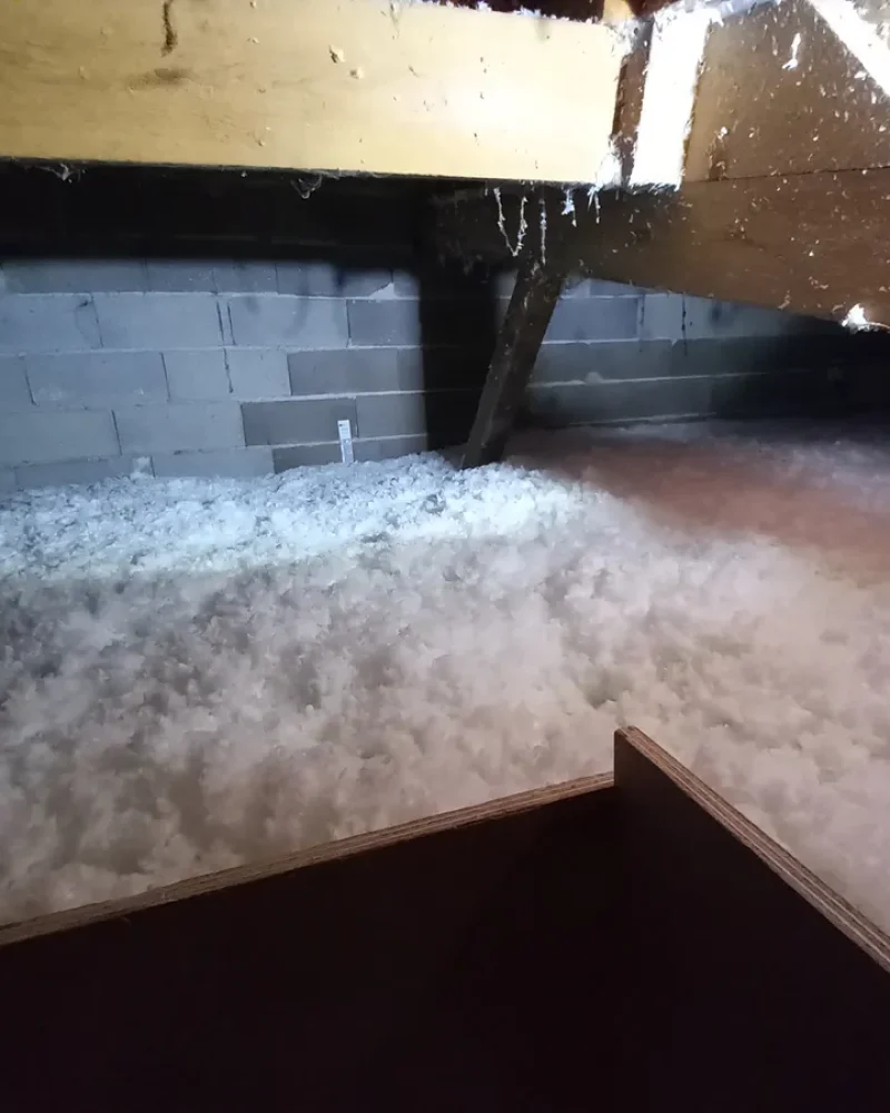 Laine soufflée avec pige-petite-etablissements-guillas-saint-jean-dangely