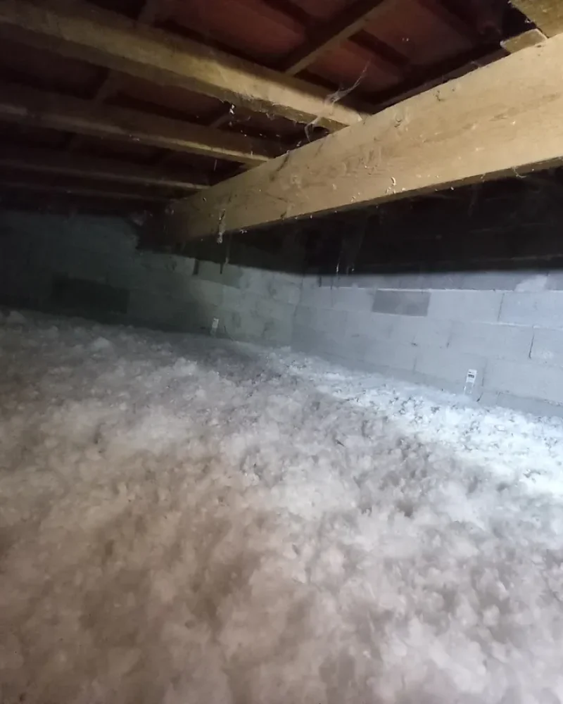 Laine-soufflée-petite-etablissements-guillas-saint-jean-dangely