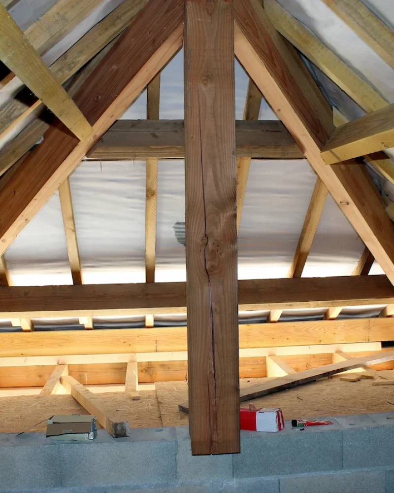 charpente-etablissements-guillas-saint-jean-dangely (2)